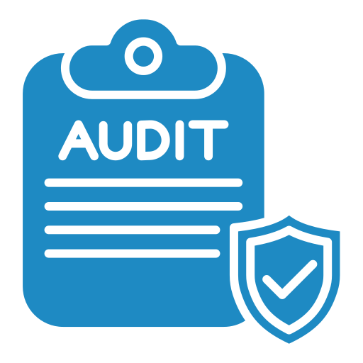 audit